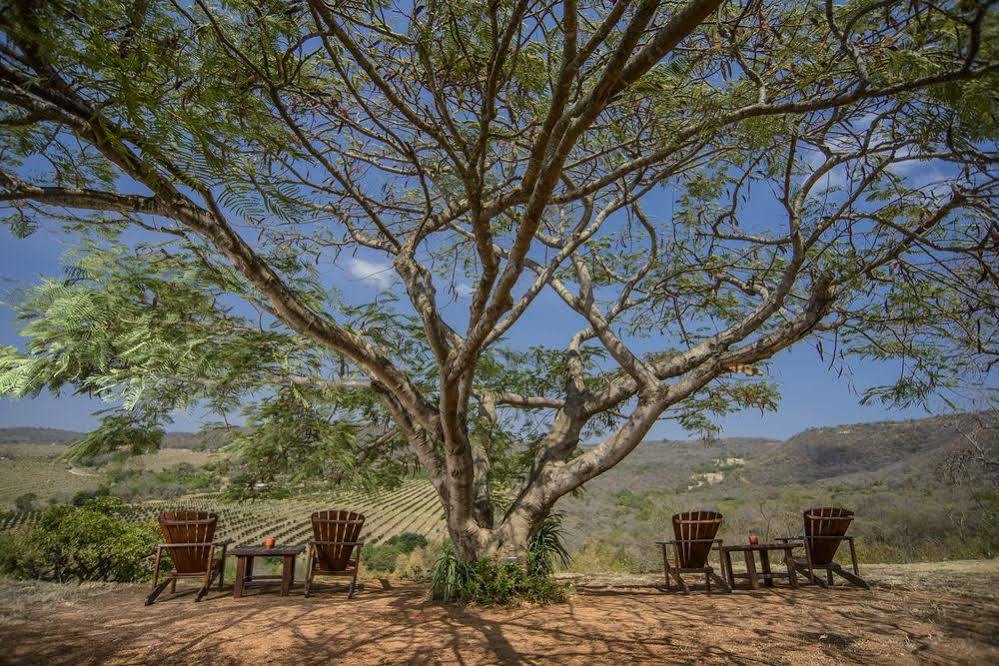 Abangane Guest Lodge Hazyview Eksteriør billede