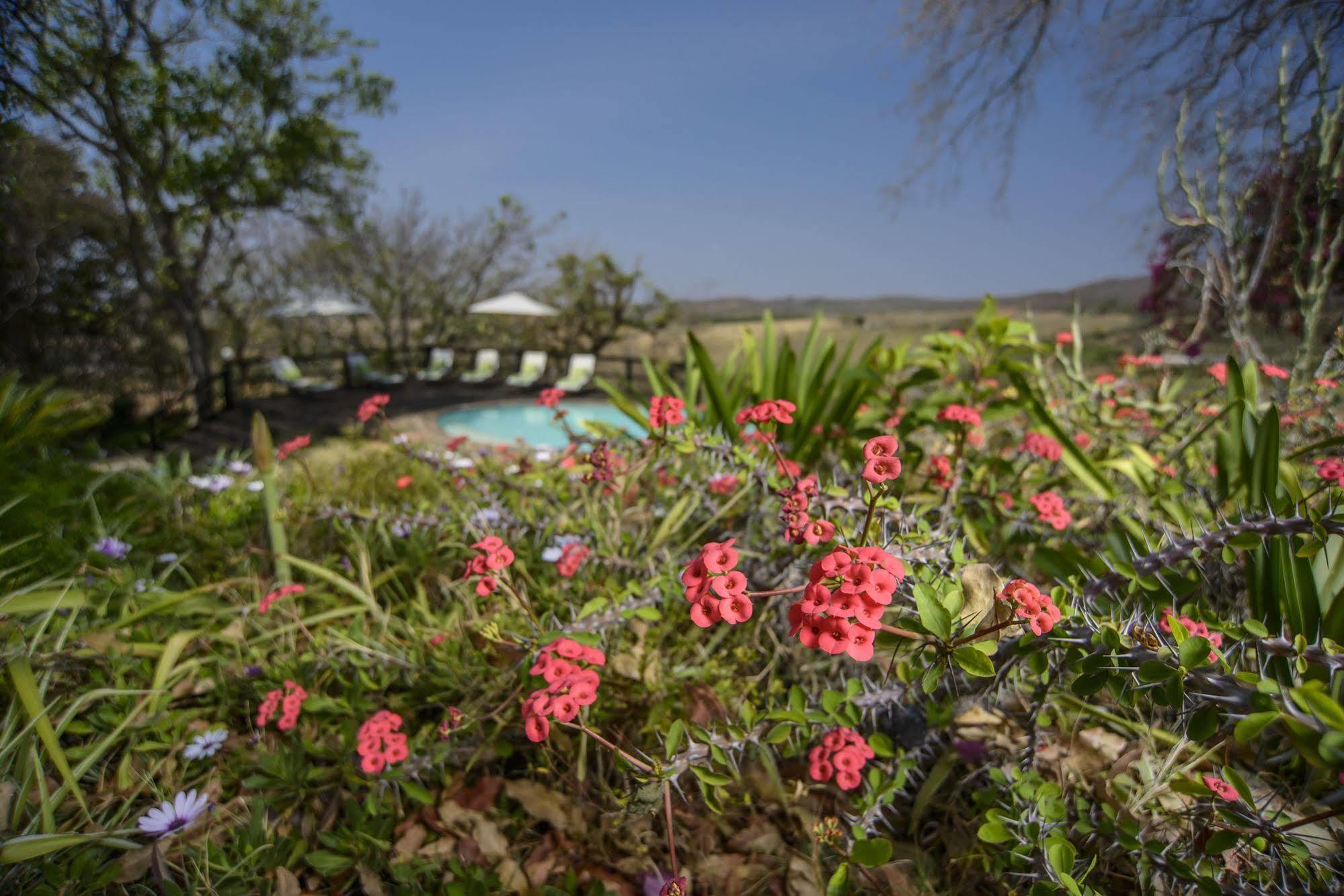 Abangane Guest Lodge Hazyview Eksteriør billede