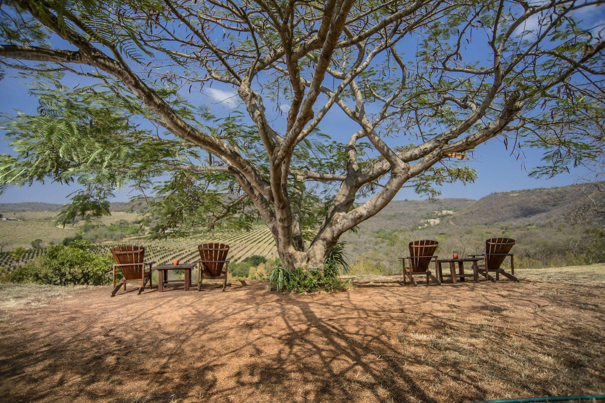 Abangane Guest Lodge Hazyview Eksteriør billede