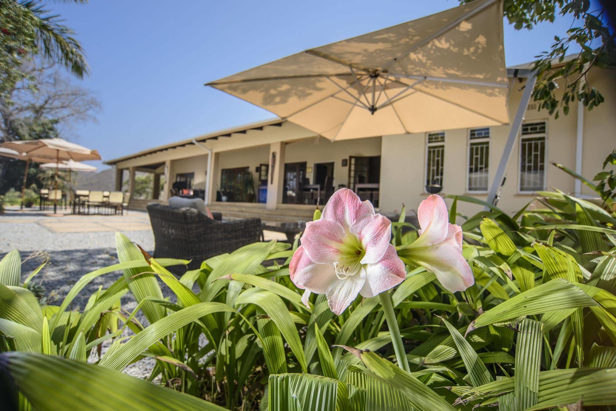 Abangane Guest Lodge Hazyview Eksteriør billede