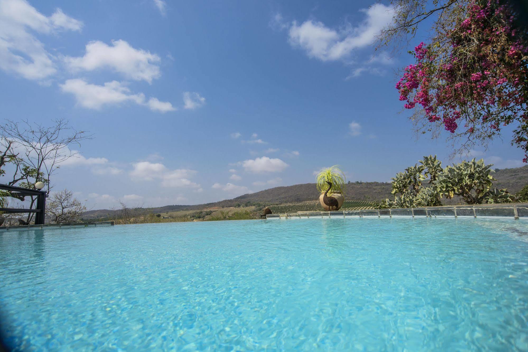 Abangane Guest Lodge Hazyview Eksteriør billede